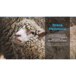 Рукавички водонепроникні Dexshell ThermFit Gloves, p-p XL, помаранчеві - Зображення 4