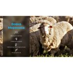Шкарпетки водонепроникні Dexshell Hytherm Pro Socks, розмір XL (47-49), чорні з коричневою смугою - Зображення 4