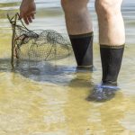 Шкарпетки водонепроникні Dexshell Trekking, р-р L, з зеленою смужкою - Зображення 5