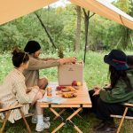 Туристичний холодильник Naturehike CNK2300BS011, 13 л, бежевий - Зображення 5