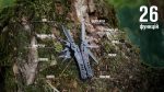 Мультитул Multi Tool Ganzo G301-В - Зображення 16