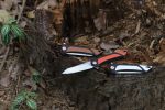 Ніж складаний Roxon K2 лезо D2, коричневий - Зображення 7